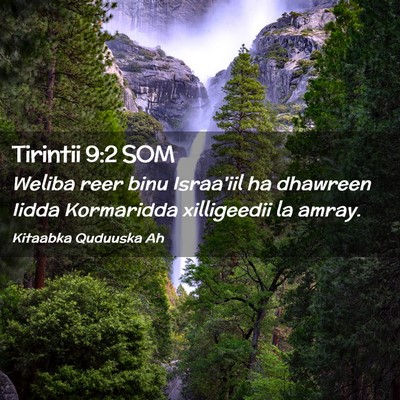 Picture 02 - Tirintii 9:2 SOM - Weliba reer binu Israa'iil ha dhawreen Iidda - Bible Verse Picture