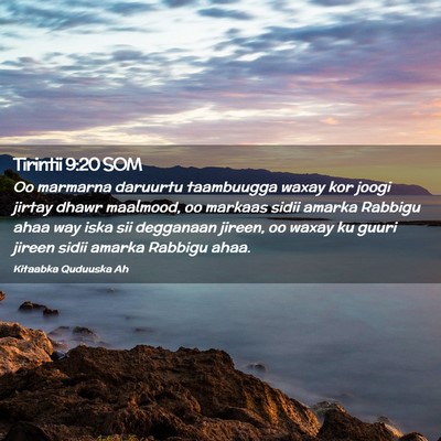 Picture 02 - Tirintii 9:20 SOM - Oo marmarna daruurtu taambuugga waxay kor joogi - Bible Verse Picture