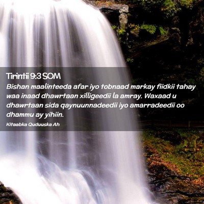 Picture 02 - Tirintii 9:3 SOM - Bishan maalinteeda afar iyo tobnaad markay - Bible Verse Picture