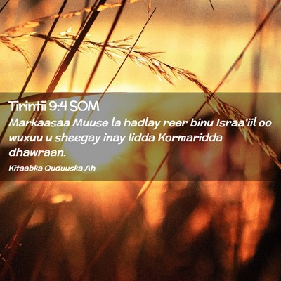 Picture 02 - Tirintii 9:4 SOM - Markaasaa Muuse la hadlay reer binu Israa'iil oo - Bible Verse Picture