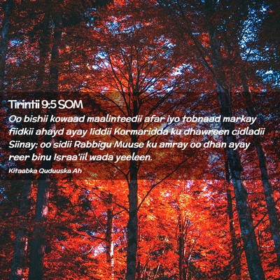 Picture 02 - Tirintii 9:5 SOM - Oo bishii kowaad maalinteedii afar iyo tobnaad - Bible Verse Picture