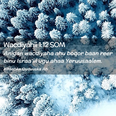 Picture 02 - Wacdiyahii 1:12 SOM - Anigan wacdiyaha ahu boqor baan reer binu - Bible Verse Picture