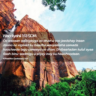 Picture 02 - Wacdiyahii 1:13 SOM - Oo waxaan qalbigayga oo dhan u soo jeedshay inaan - Bible Verse Picture