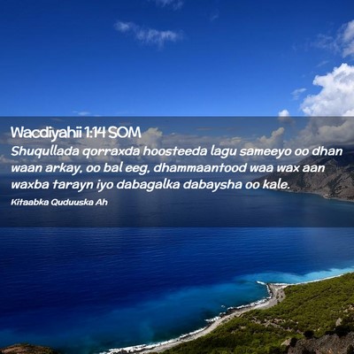 Picture 02 - Wacdiyahii 1:14 SOM - Shuqullada qorraxda hoosteeda lagu sameeyo oo - Bible Verse Picture