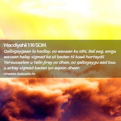 Picture 02 - Wacdiyahii 1:16 SOM - Qalbigaygaan la hadlay, oo waxaan ku idhi, Bal - Bible Verse Picture
