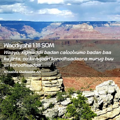 Picture 02 - Wacdiyahii 1:18 SOM - Waayo, xigmaddii badan caloolxumo badan baa ku - Bible Verse Picture