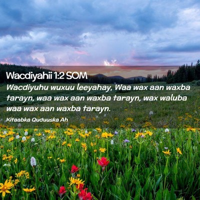 Picture 02 - Wacdiyahii 1:2 SOM - Wacdiyuhu wuxuu leeyahay, Waa wax aan waxba - Bible Verse Picture