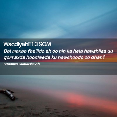 Picture 02 - Wacdiyahii 1:3 SOM - Bal maxaa faa'iido ah oo nin ka hela hawshiisa uu - Bible Verse Picture