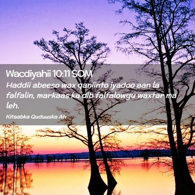 Picture 02 - Wacdiyahii 10:11 SOM - Haddii abeeso wax qaniinto iyadoo aan la - Bible Verse Picture