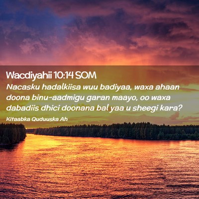 Picture 02 - Wacdiyahii 10:14 SOM - Nacasku hadalkiisa wuu badiyaa, waxa ahaan doona - Bible Verse Picture