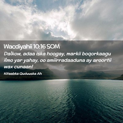 Picture 02 - Wacdiyahii 10:16 SOM - Dalkow, adaa iska hoogay, markii boqorkaagu ilmo - Bible Verse Picture