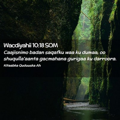 Picture 02 - Wacdiyahii 10:18 SOM - Caajisnimo badan saqafku waa ku dumaa, oo - Bible Verse Picture