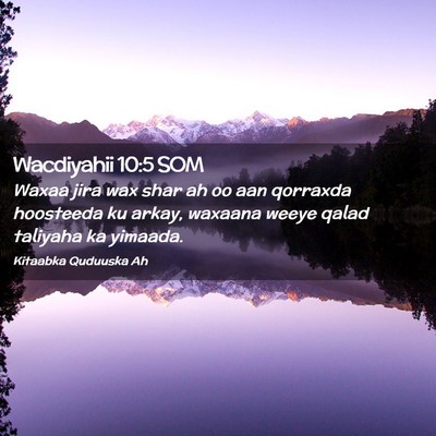 Picture 02 - Wacdiyahii 10:5 SOM - Waxaa jira wax shar ah oo aan qorraxda hoosteeda - Bible Verse Picture