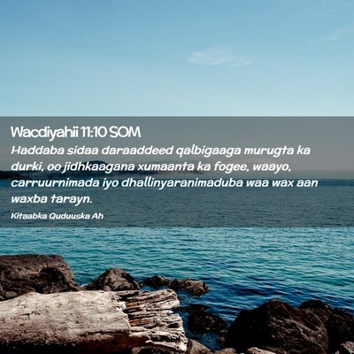 Picture 02 - Wacdiyahii 11:10 SOM - Haddaba sidaa daraaddeed qalbigaaga murugta ka - Bible Verse Picture