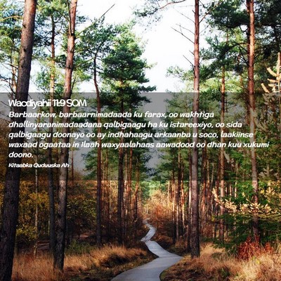 Picture 02 - Wacdiyahii 11:9 SOM - Barbaarkow, barbaarnimadaada ku farax, oo - Bible Verse Picture