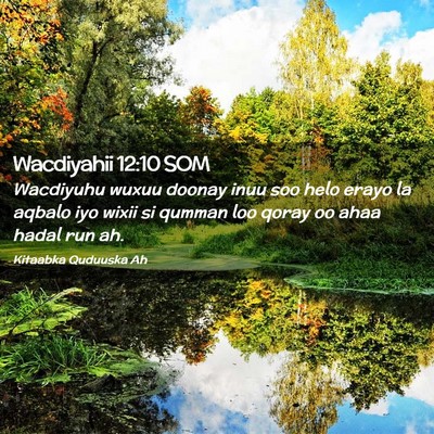 Picture 02 - Wacdiyahii 12:10 SOM - Wacdiyuhu wuxuu doonay inuu soo helo erayo la - Bible Verse Picture