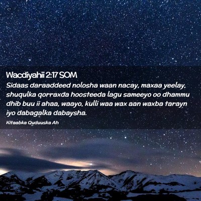 Picture 02 - Wacdiyahii 2:17 SOM - Sidaas daraaddeed nolosha waan nacay, maxaa - Bible Verse Picture