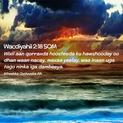 Picture 02 - Wacdiyahii 2:18 SOM - Wixii aan qorraxda hoosteeda ku hawshooday oo - Bible Verse Picture