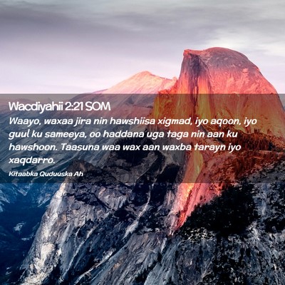 Picture 02 - Wacdiyahii 2:21 SOM - Waayo, waxaa jira nin hawshiisa xigmad, iyo - Bible Verse Picture