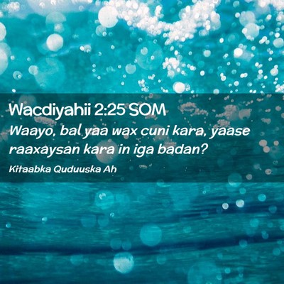 Picture 02 - Wacdiyahii 2:25 SOM - Waayo, bal yaa wax cuni kara, yaase raaxaysan - Bible Verse Picture