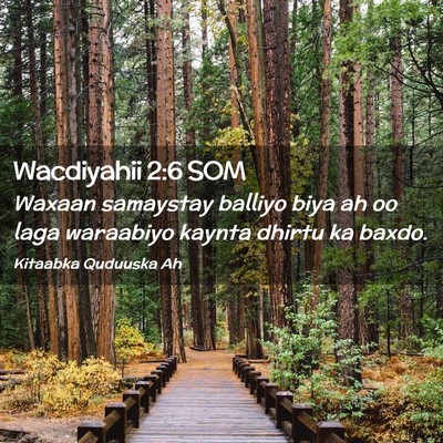 Picture 02 - Wacdiyahii 2:6 SOM - Waxaan samaystay balliyo biya ah oo laga - Bible Verse Picture