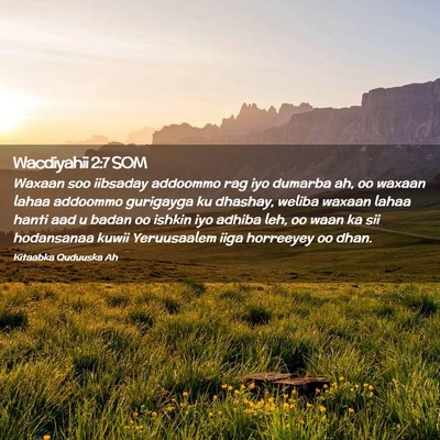 Picture 02 - Wacdiyahii 2:7 SOM - Waxaan soo iibsaday addoommo rag iyo dumarba ah, - Bible Verse Picture
