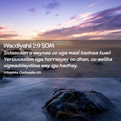 Picture 02 - Wacdiyahii 2:9 SOM - Sidaasaan u weynaa oo uga maal badnaa kuwii - Bible Verse Picture
