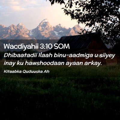 Picture 02 - Wacdiyahii 3:10 SOM - Dhibaatadii Ilaah binu-aadmiga u siiyey inay ku - Bible Verse Picture