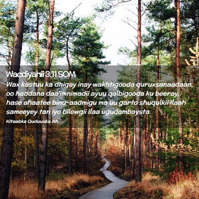 Picture 02 - Wacdiyahii 3:11 SOM - Wax kastuu ka dhigay inay wakhtigooda - Bible Verse Picture