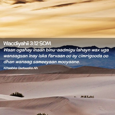 Picture 02 - Wacdiyahii 3:12 SOM - Waan ogahay inaan binu-aadmigu lahayn wax uga - Bible Verse Picture