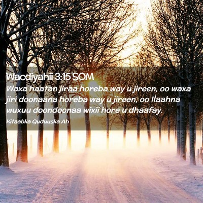 Picture 02 - Wacdiyahii 3:15 SOM - Waxa haatan jiraa horeba way u jireen, oo waxa - Bible Verse Picture