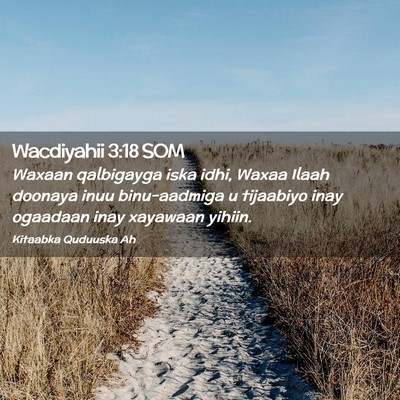 Picture 02 - Wacdiyahii 3:18 SOM - Waxaan qalbigayga iska idhi, Waxaa Ilaah doonaya - Bible Verse Picture