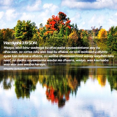 Picture 02 - Wacdiyahii 3:19 SOM - Waayo, wixii binu-aadmiga ku dhacaaba - Bible Verse Picture