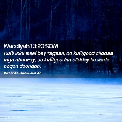 Picture 02 - Wacdiyahii 3:20 SOM - Kulli isku meel bay tagaan, oo kulligood ciiddaa - Bible Verse Picture