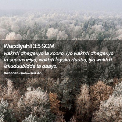 Picture 02 - Wacdiyahii 3:5 SOM - wakhti dhagaxyo la xooro, iyo wakhti dhagaxyo la - Bible Verse Picture