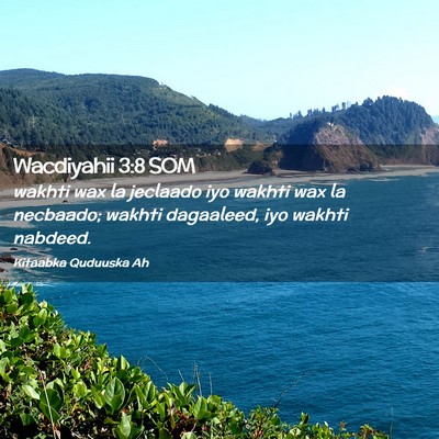 Picture 02 - Wacdiyahii 3:8 SOM - wakhti wax la jeclaado iyo wakhti wax la - Bible Verse Picture