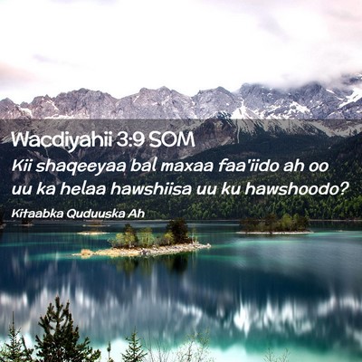 Picture 02 - Wacdiyahii 3:9 SOM - Kii shaqeeyaa bal maxaa faa'iido ah oo uu ka - Bible Verse Picture