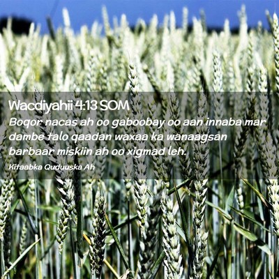 Picture 02 - Wacdiyahii 4:13 SOM - Boqor nacas ah oo gaboobay oo aan innaba mar - Bible Verse Picture