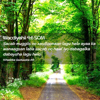 Picture 02 - Wacdiyahii 4:6 SOM - Sacab muggiis oo xasilloonaan lagu helo ayaa ka - Bible Verse Picture