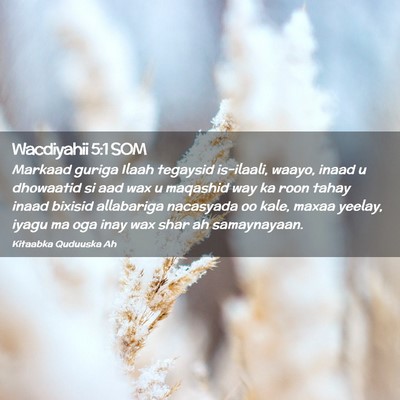 Picture 02 - Wacdiyahii 5:1 SOM - Markaad guriga Ilaah tegaysid is-ilaali, waayo, - Bible Verse Picture
