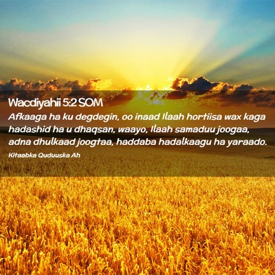 Picture 02 - Wacdiyahii 5:2 SOM - Afkaaga ha ku degdegin, oo inaad Ilaah hortiisa - Bible Verse Picture