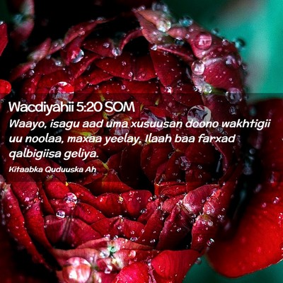 Picture 02 - Wacdiyahii 5:20 SOM - Waayo, isagu aad uma xusuusan doono wakhtigii uu - Bible Verse Picture