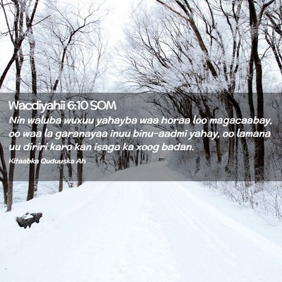 Picture 02 - Wacdiyahii 6:10 SOM - Nin waluba wuxuu yahayba waa horaa loo - Bible Verse Picture
