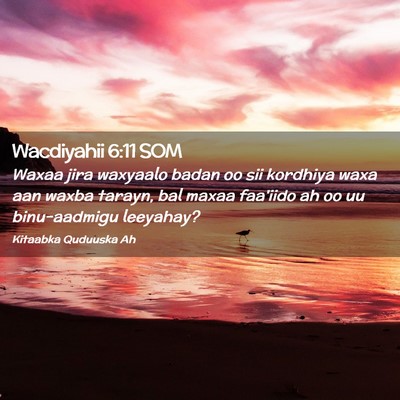 Picture 02 - Wacdiyahii 6:11 SOM - Waxaa jira waxyaalo badan oo sii kordhiya waxa - Bible Verse Picture