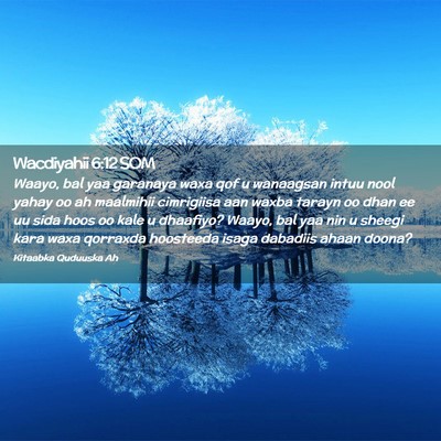 Picture 02 - Wacdiyahii 6:12 SOM - Waayo, bal yaa garanaya waxa qof u wanaagsan - Bible Verse Picture