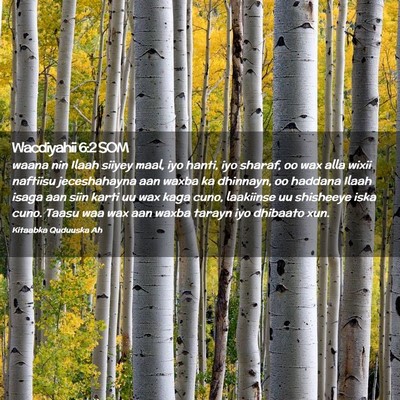 Picture 02 - Wacdiyahii 6:2 SOM - waana nin Ilaah siiyey maal, iyo hanti, iyo - Bible Verse Picture
