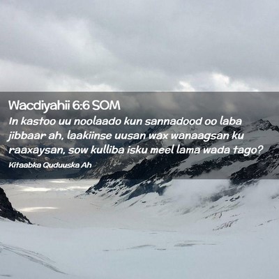 Picture 02 - Wacdiyahii 6:6 SOM - In kastoo uu noolaado kun sannadood oo laba - Bible Verse Picture
