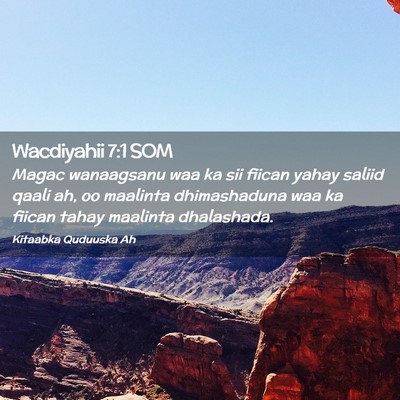 Picture 02 - Wacdiyahii 7:1 SOM - Magac wanaagsanu waa ka sii fiican yahay saliid - Bible Verse Picture