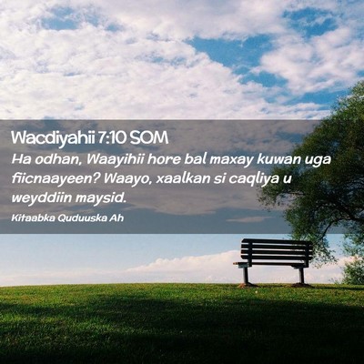Picture 02 - Wacdiyahii 7:10 SOM - Ha odhan, Waayihii hore bal maxay kuwan uga - Bible Verse Picture