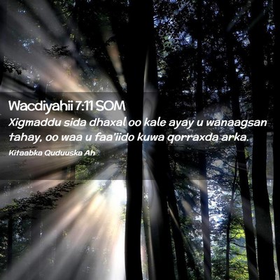 Picture 02 - Wacdiyahii 7:11 SOM - Xigmaddu sida dhaxal oo kale ayay u wanaagsan - Bible Verse Picture